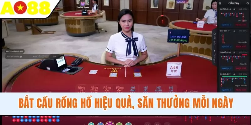 Bắt Cầu Rồng Hổ Hiệu Quả, Săn Thưởng Hậu Hĩnh Mỗi Ngày